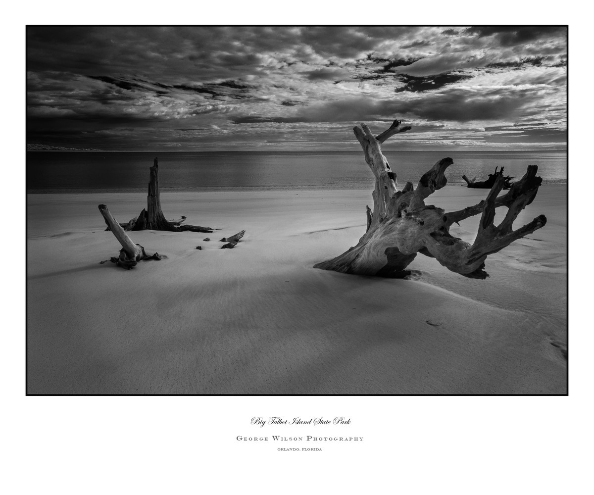 Big Talbot Island SP I - Florida State Parks