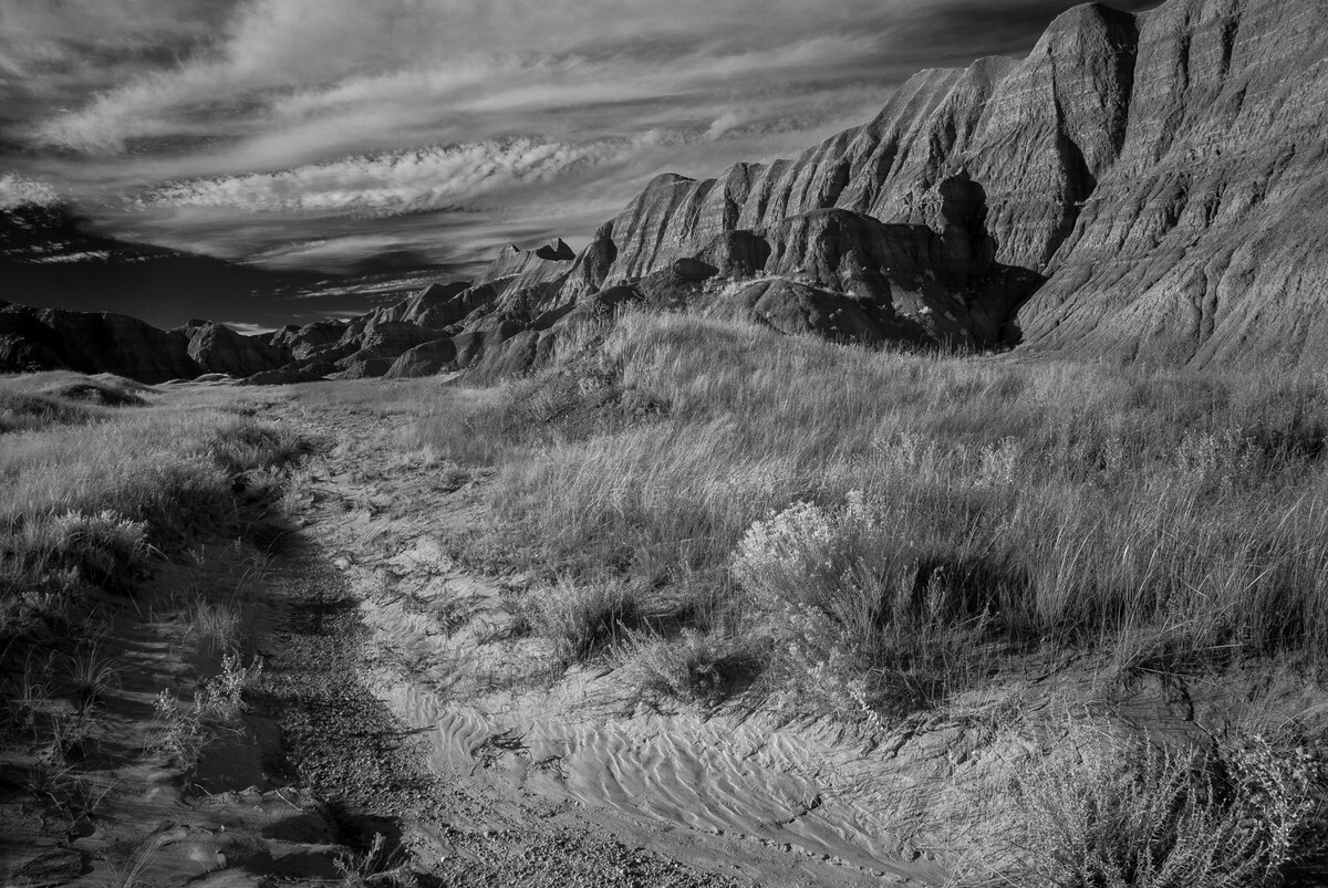 Deer Haven I - Badlands National Park