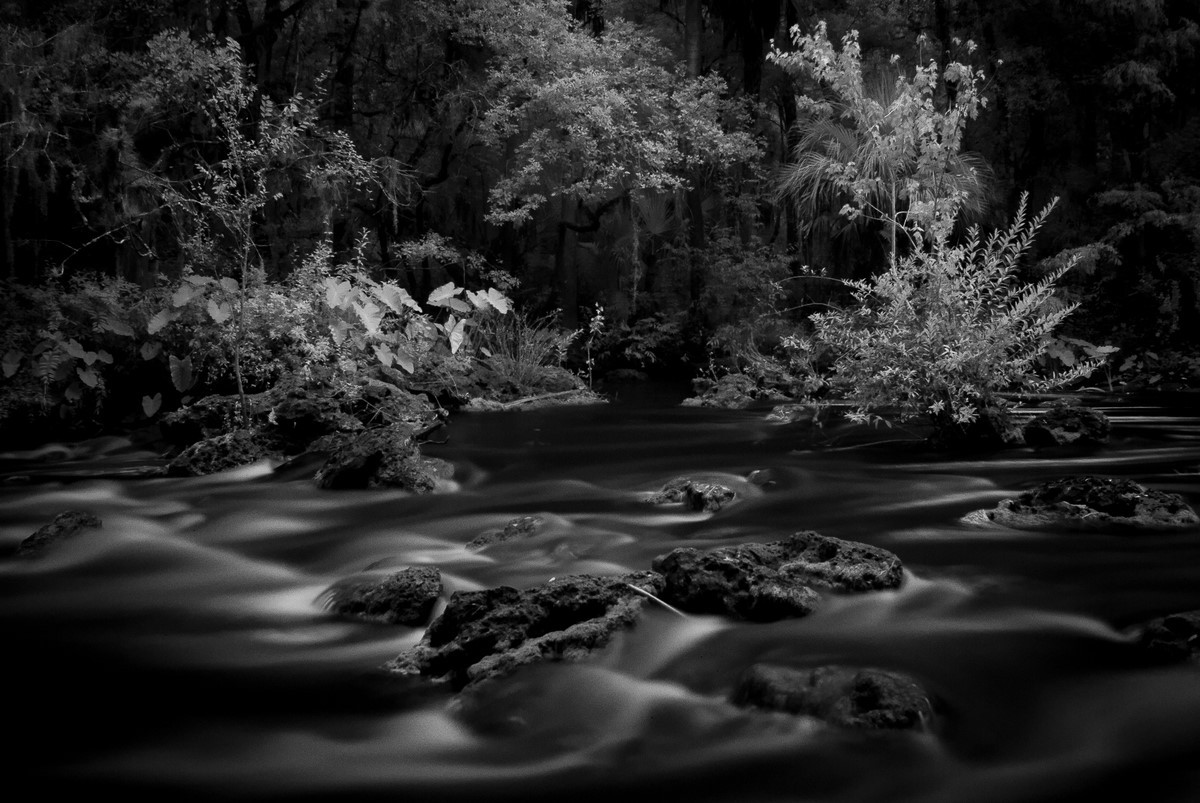 Hillsborough River Rapids - Fine Art Black and White - Florida