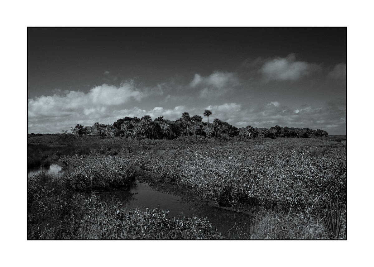 Brevard County - Merritt Island NWR - Florida Wild -  Landscapes of the Sunshine State