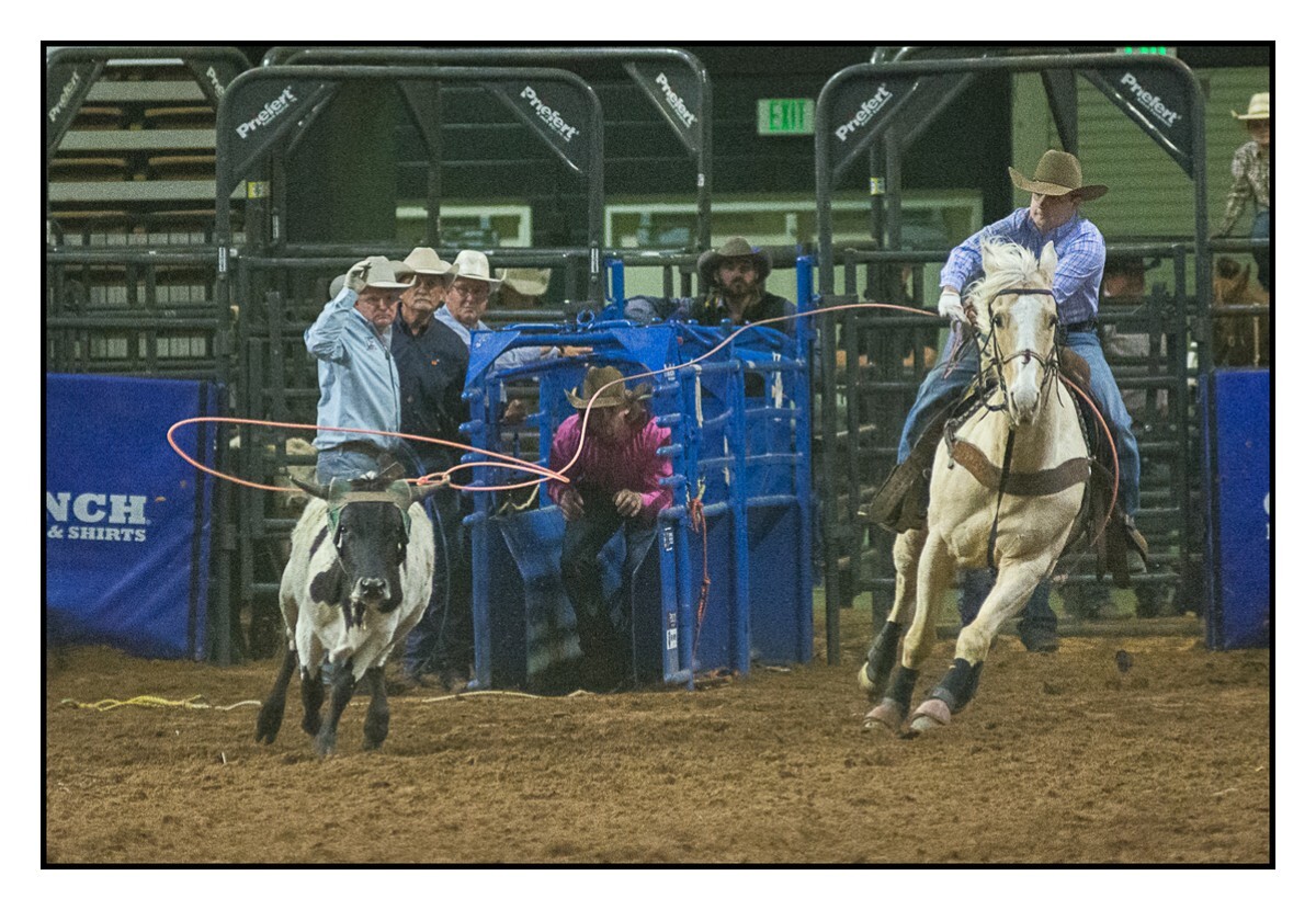 Team Roping 1 - Rodeo
