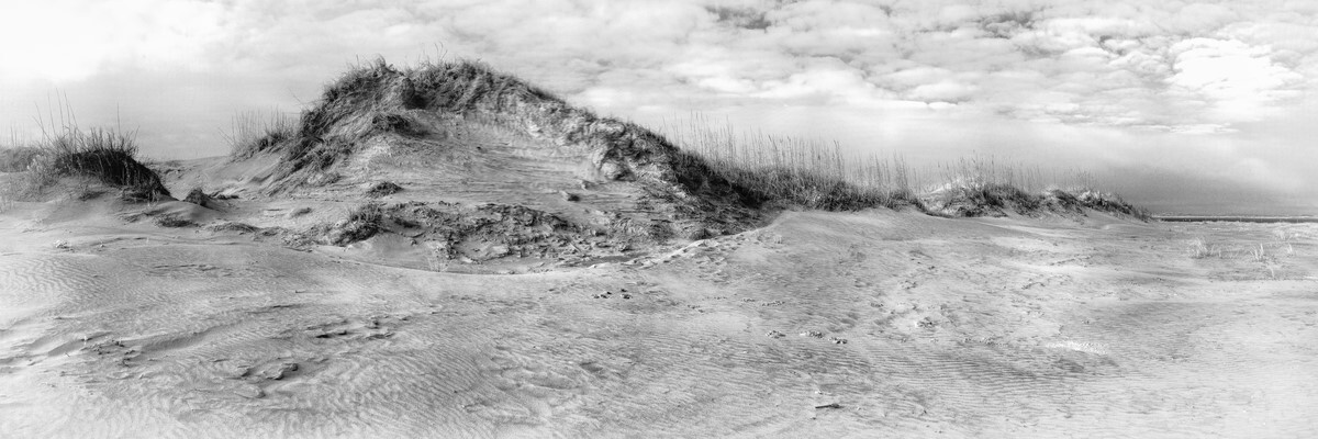 Dunes - Fine Art Black & White Panoramic 3:1 Ratio