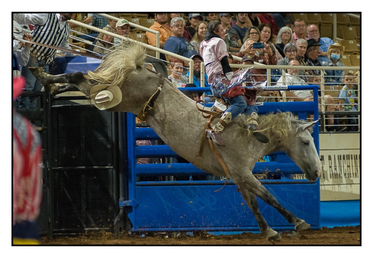 Chutes 2 - Rodeo