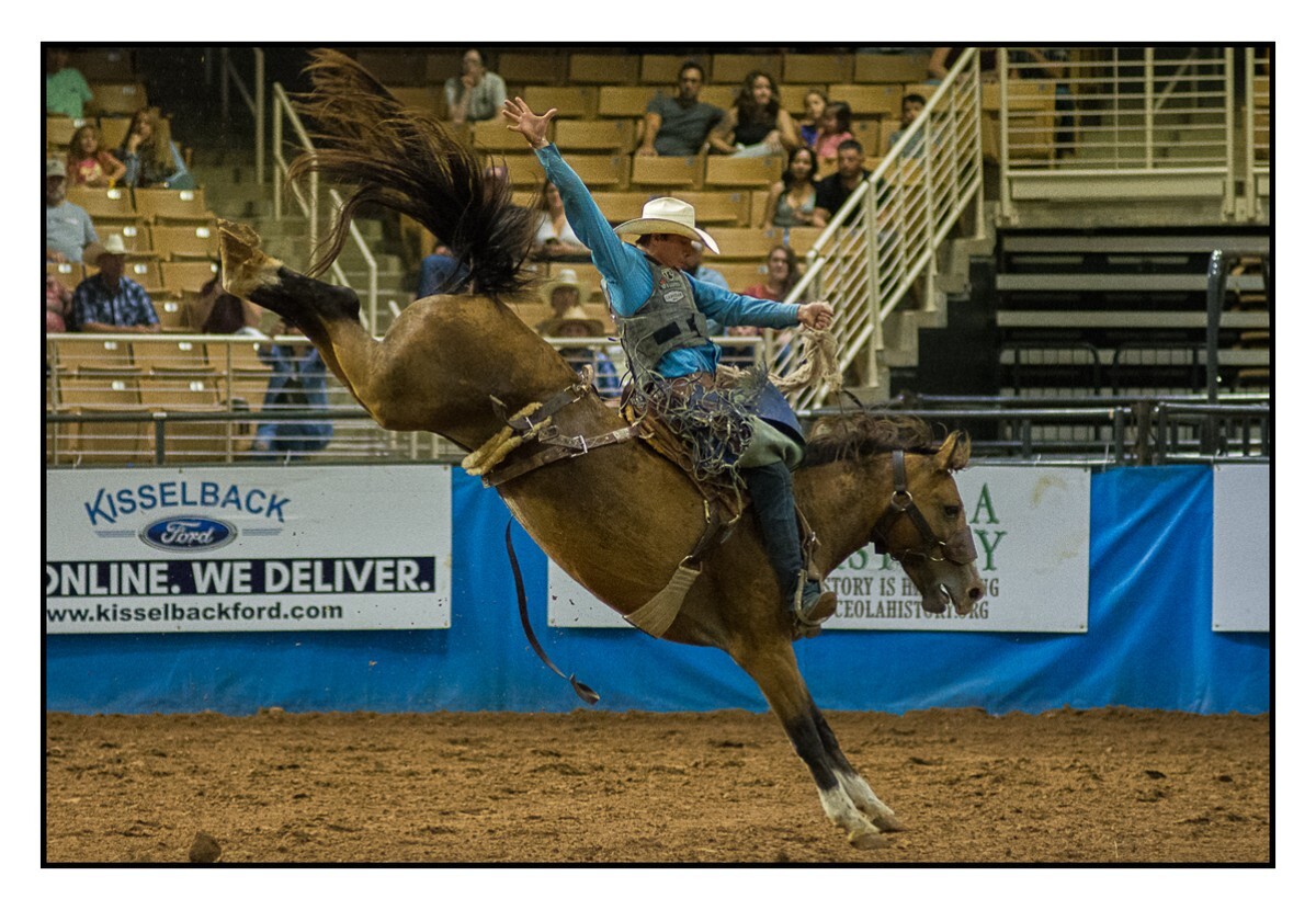 Saddle Bronc 7 - Rodeo