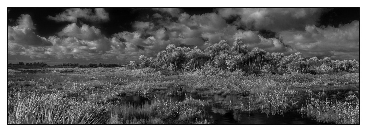 Merritt Island NWR - Brevard County - FLO - Pan (The Florida Panoramic Exhibit)