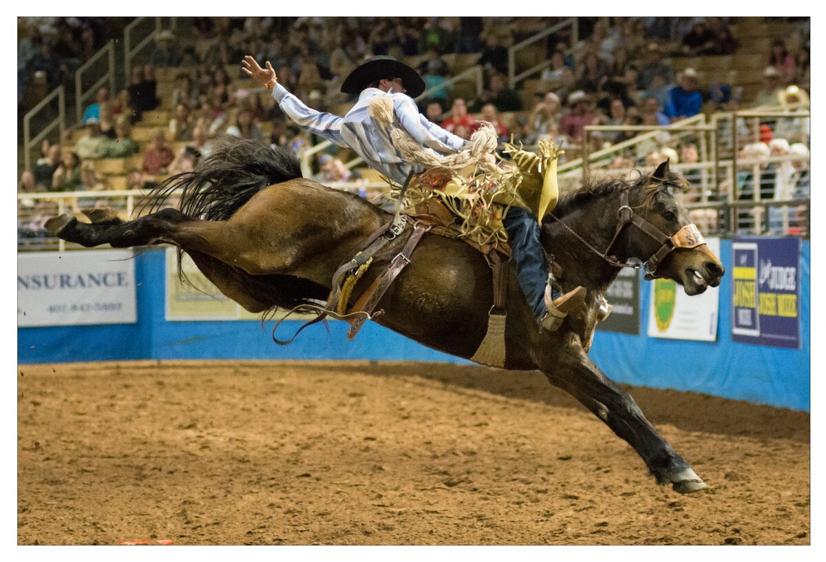 Rodeo Portfolio - Saddle Bronc 02 - Rodeo