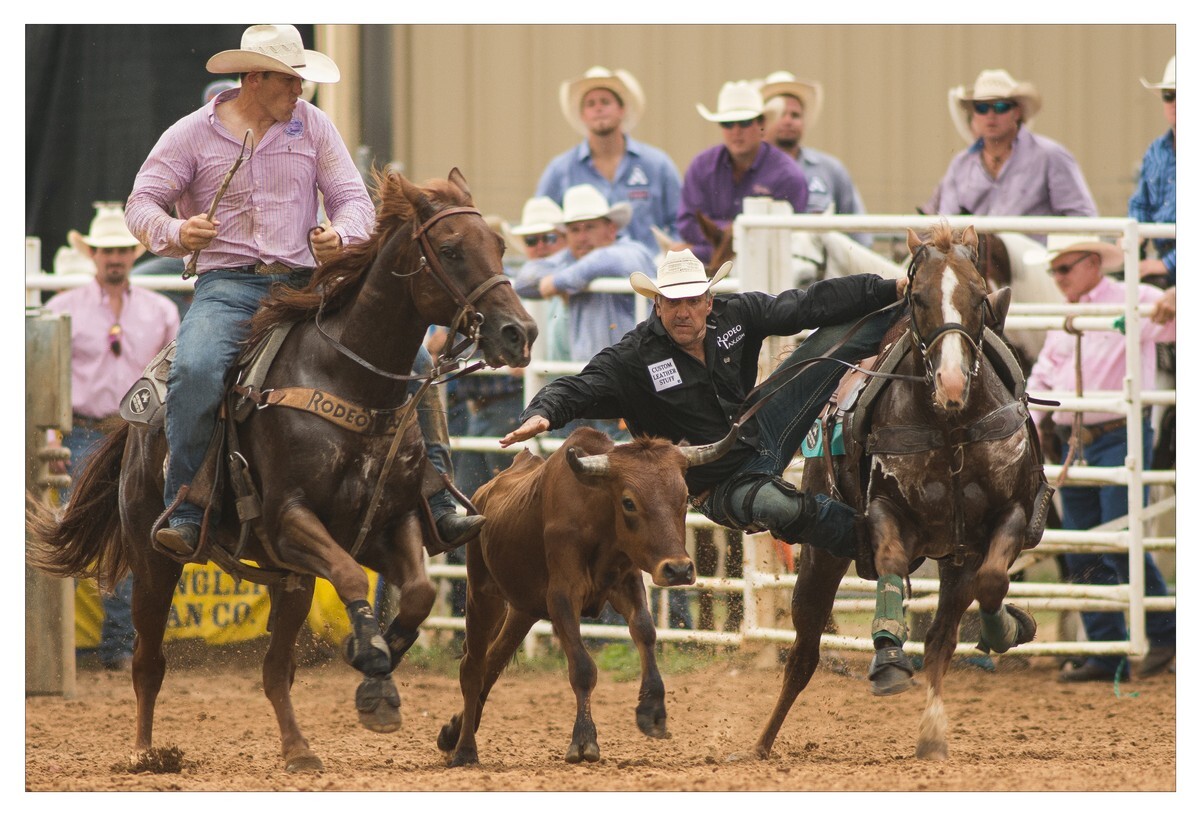 Rodeo Portfolio - Steer Wrestling 01 - Rodeo