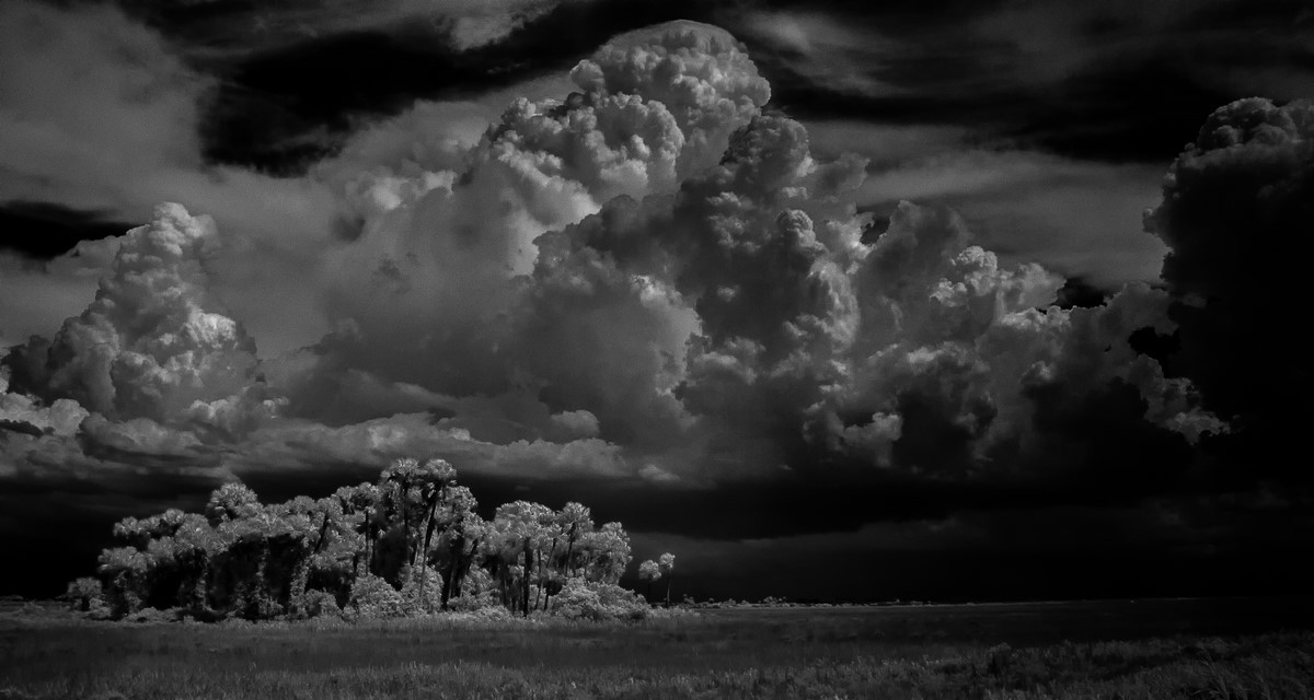 Thunderhead - Florida Collection