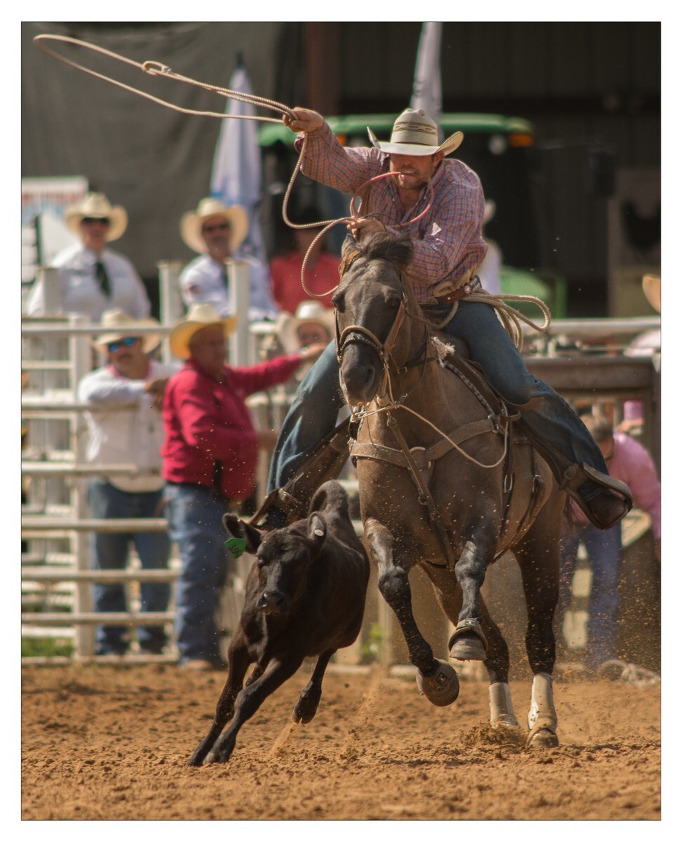 Rodeo Portfolio - Misc 03 - Rodeo