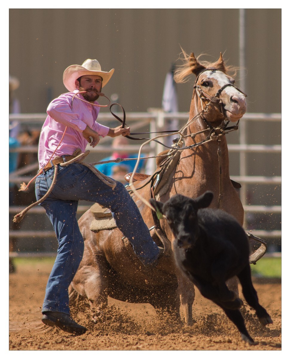 Rodeo Portfolio - Tie Down 02 - Rodeo
