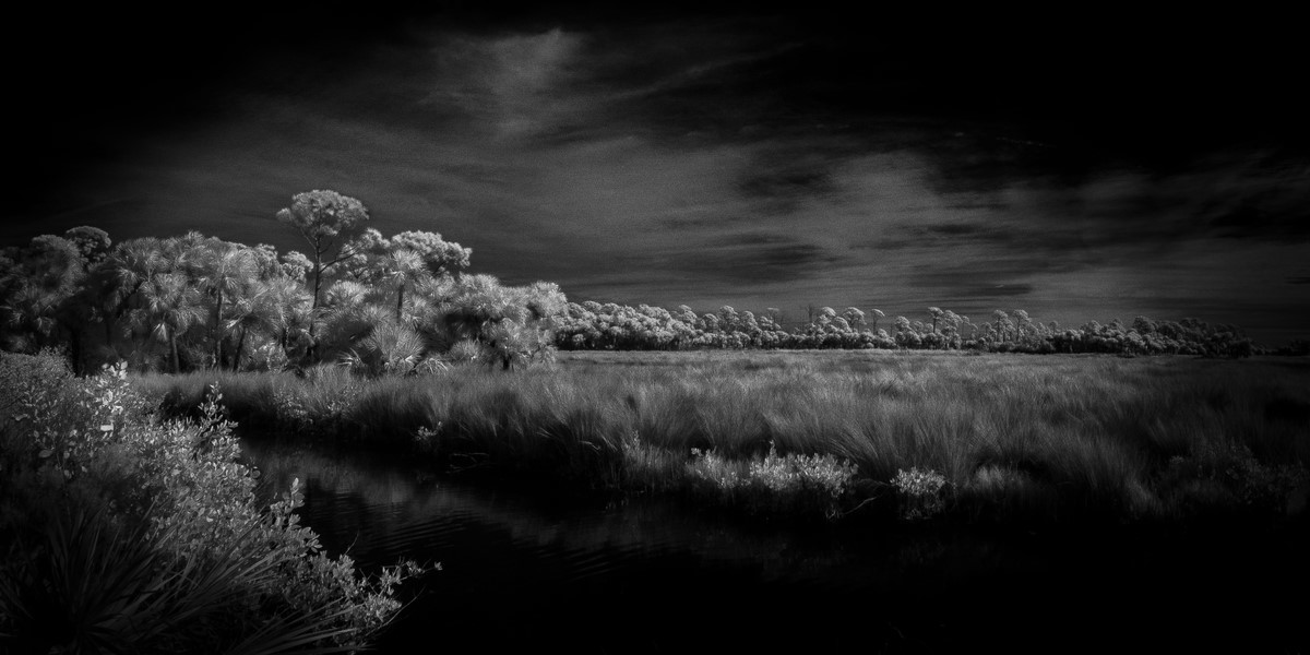 Sea of Grass - Fine Art Black and White Panoramic 2:1 Ratio