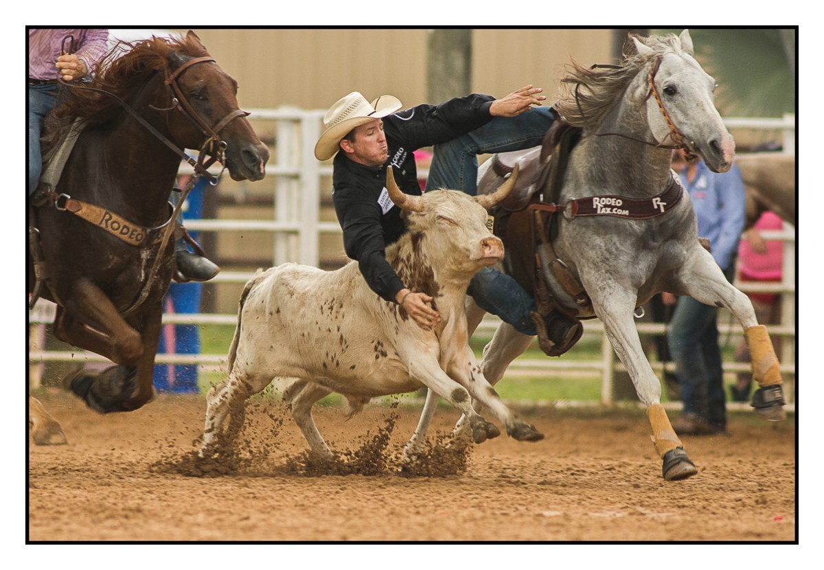 Steer Wrestling 2 - Rodeo