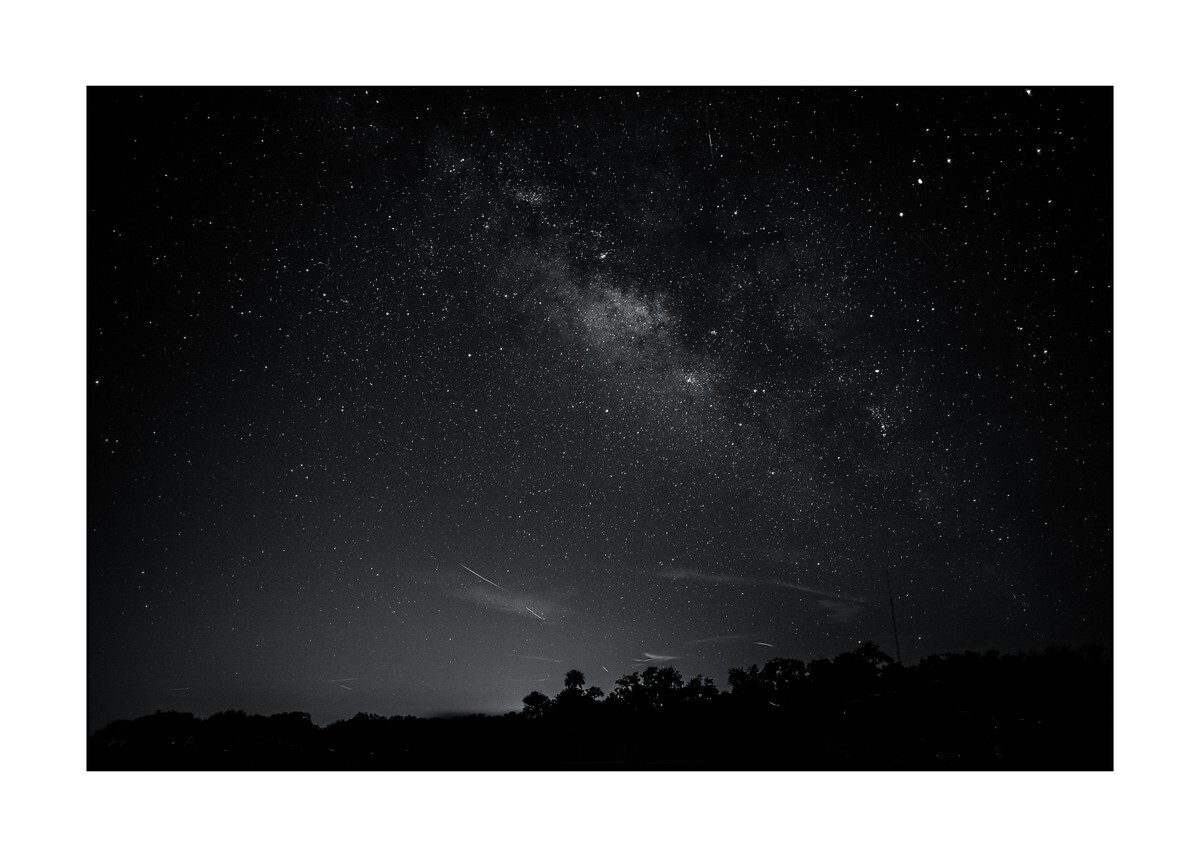 Okeechobee County - Kissimmee Prairie Preserve State Park - Florida Wild -  Landscapes of the Sunshine State