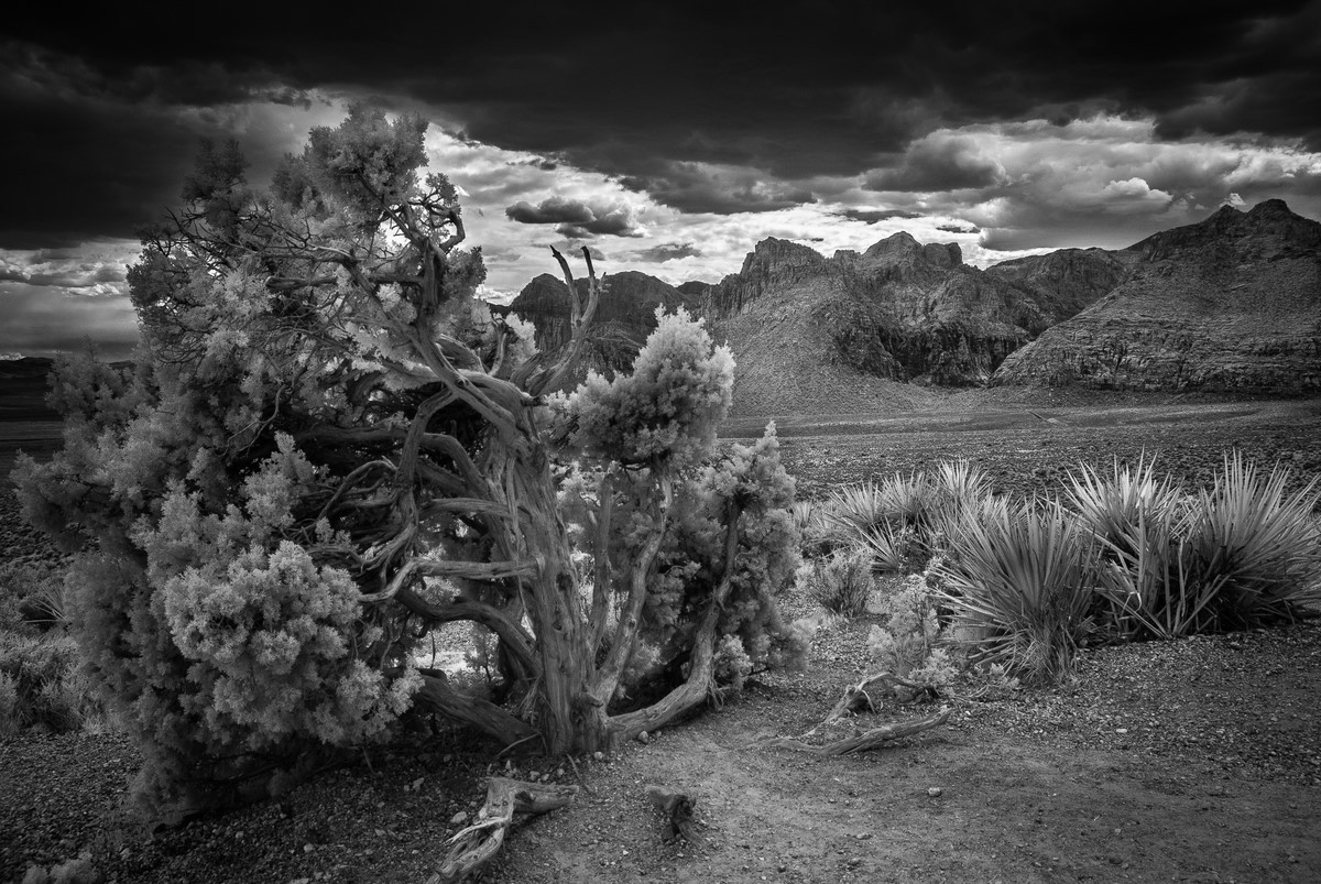Desert Storm - Fine Art Black and White - Various Locations