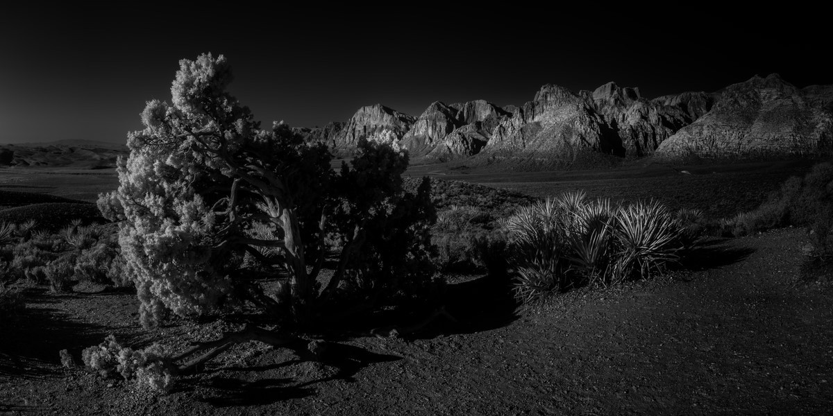 High Point Overlook - Fine Art Black and White Panoramic 2:1 Ratio