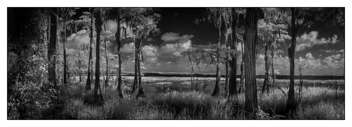 Lake Louisa SP - Lake County - FLO - Pan (The Florida Panoramic Exhibit)
