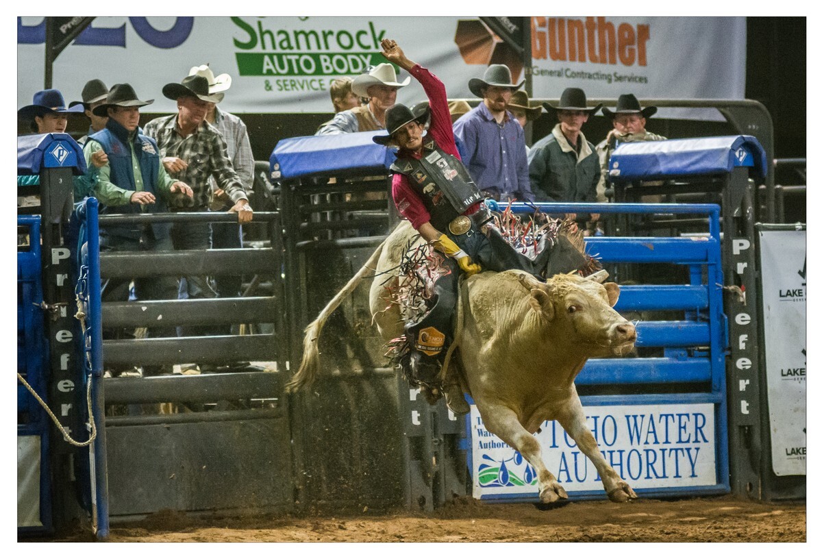 Rodeo Portfolio - Bull Riding 01 - Rodeo