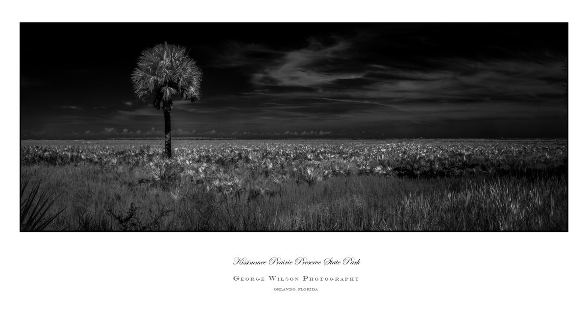 Kissimmee Prairie Preserve SP IV - Florida State Parks