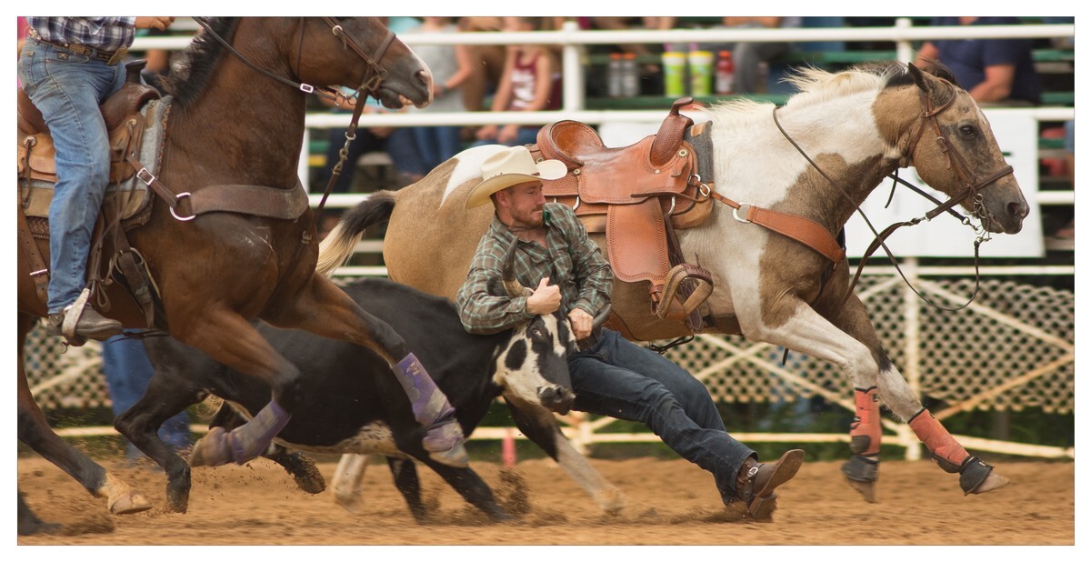 Rodeo Portfolio - Steer Wrestling 02 - Rodeo