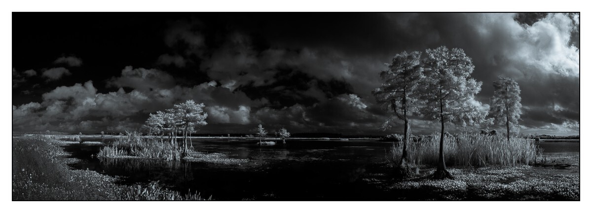 Orlando Wetlands II - Orange County - FLO - Pan (The Florida Panoramic Exhibit)