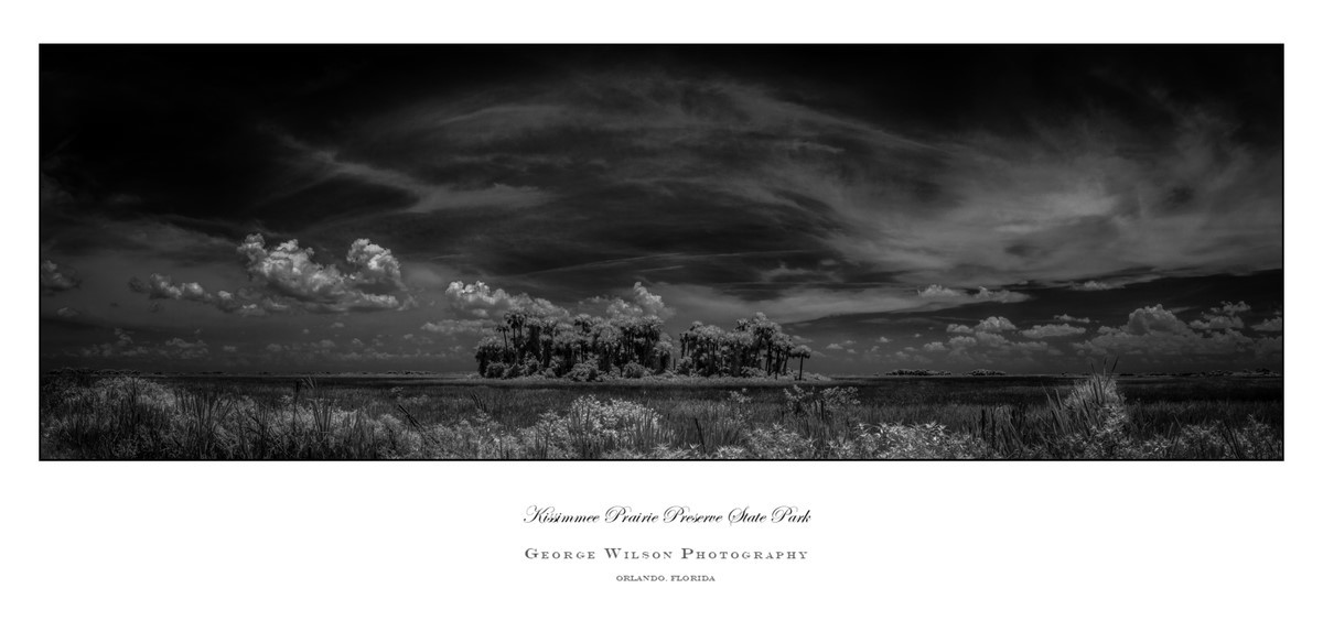 Kissimmee Prairie Preserve SP V - Florida State Parks