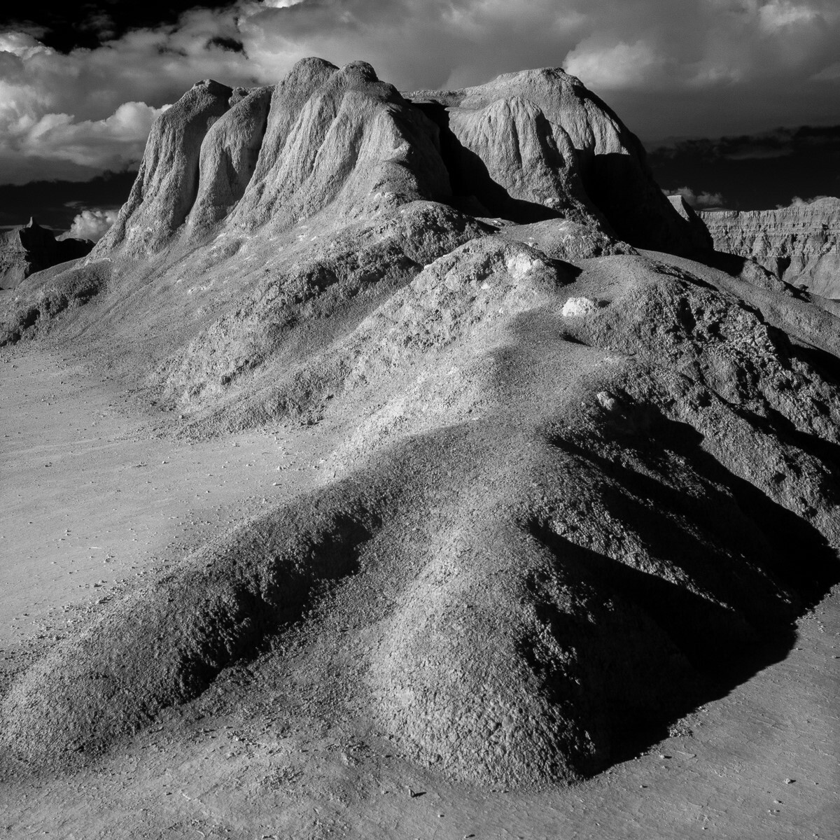 Fossil Trail II - Badlands National Park