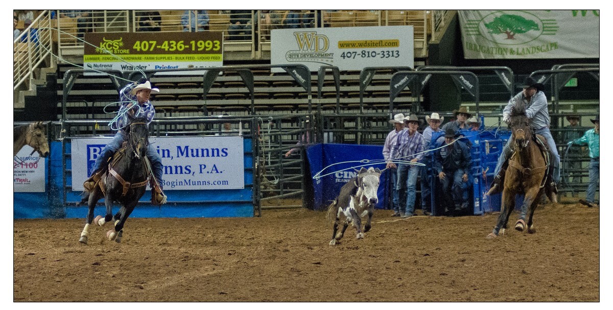 Team Roping 2 - Rodeo