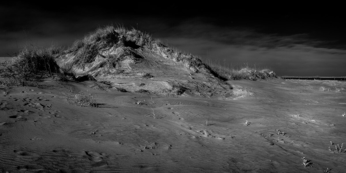 Dunes - Fine Art Black and White Panoramic 2:1 Ratio