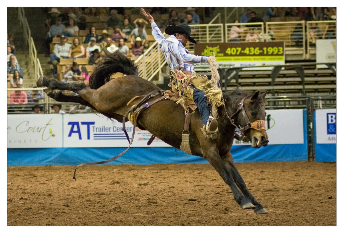 Rodeo Portfolio - Saddle Bronc 03