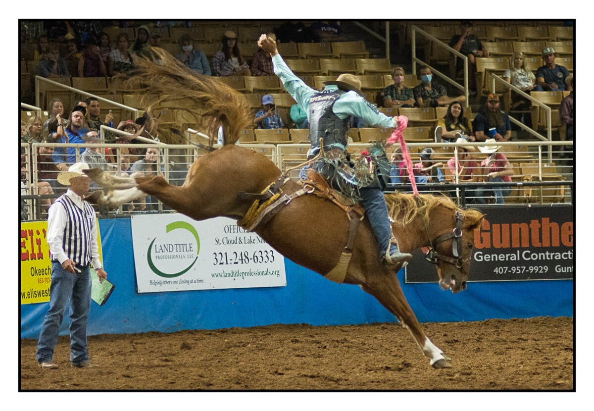 Saddle Bronc 6 - Rodeo