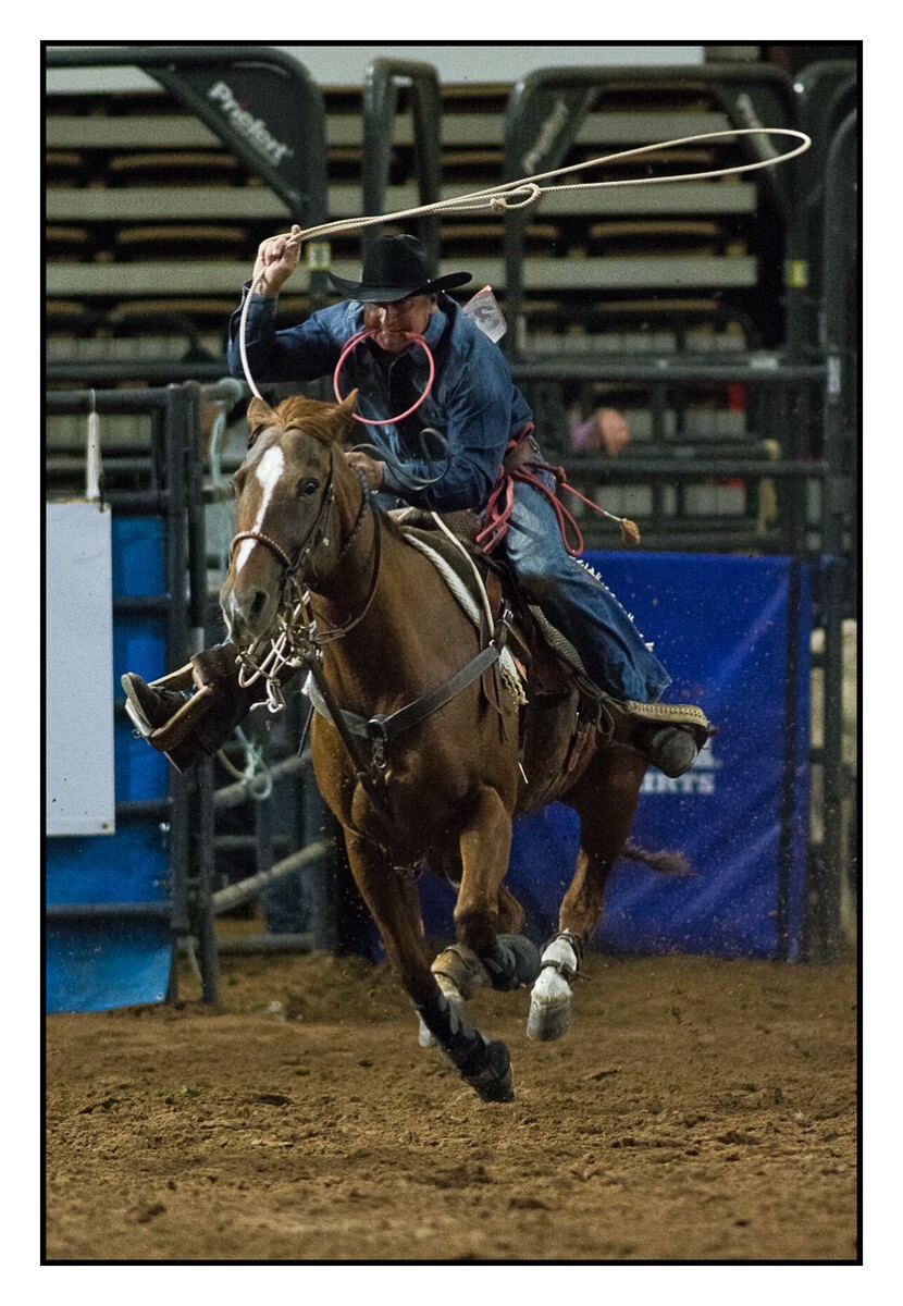 Calf Roping Feature - Rodeo