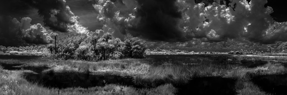 Black Point Drive - Fine Art Black & White Panoramic 3:1 Ratio