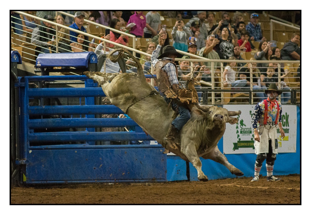 Bull Riding 1 - Rodeo