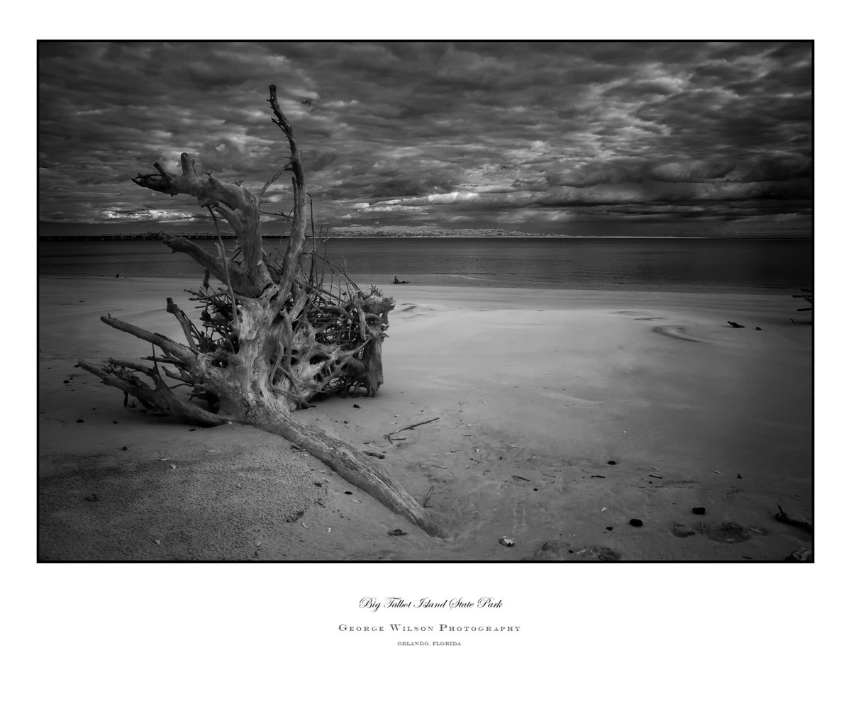 Big Talbot Island SP II - Florida State Parks