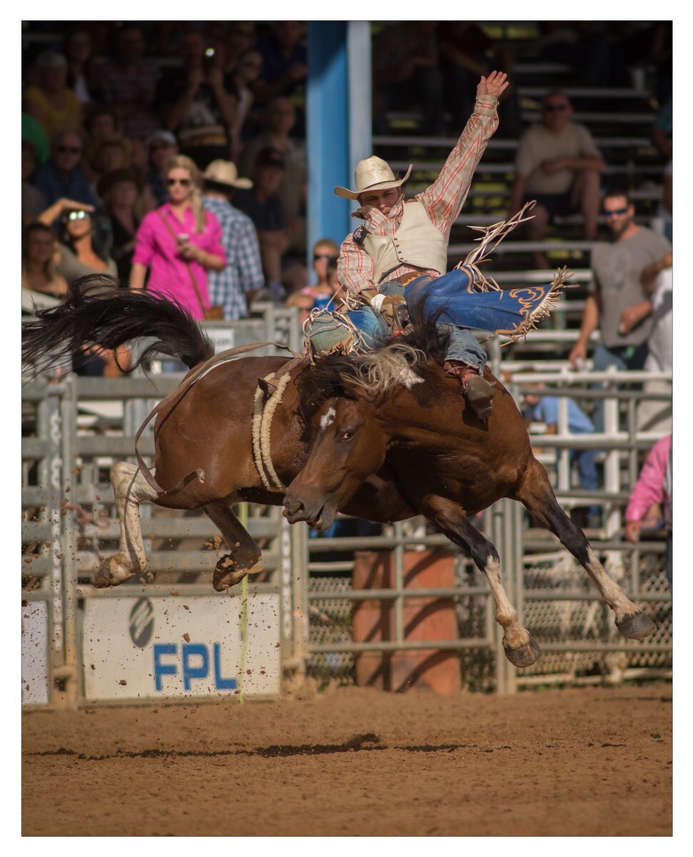 Rodeo Portfolio - Non Traditional 01 - Rodeo