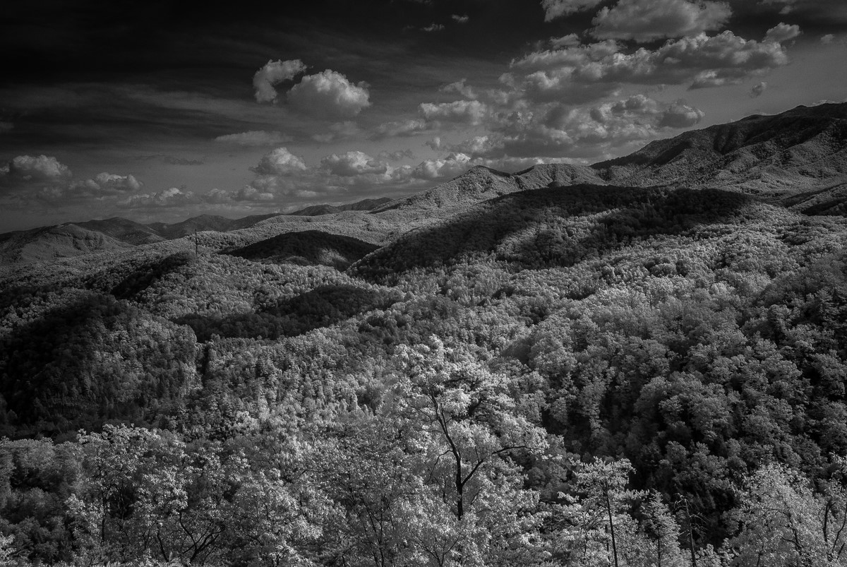 Great Smoky Mountains - Fine Art Black and White - Various Locations