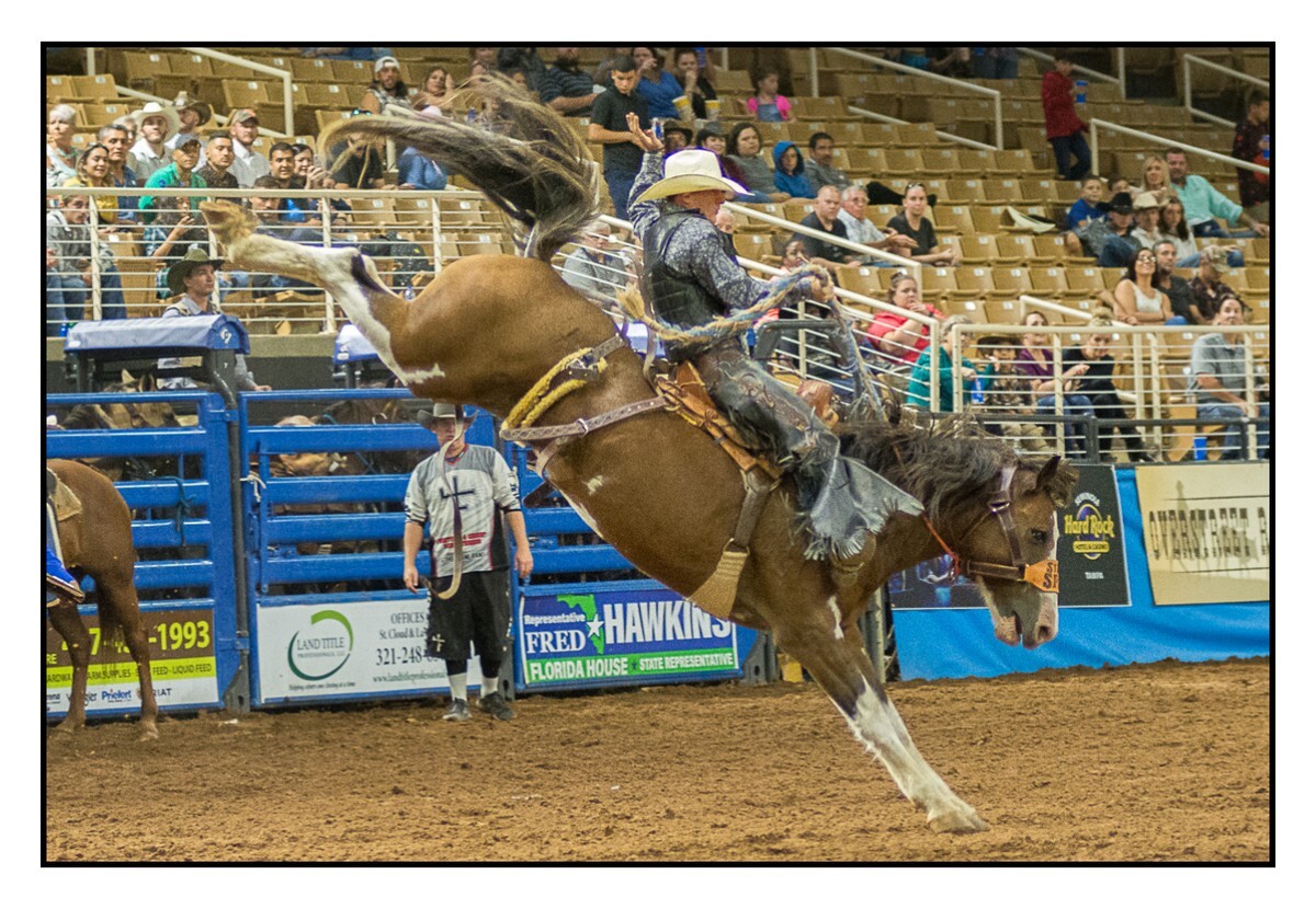 Saddle Bronc 8 - Rodeo