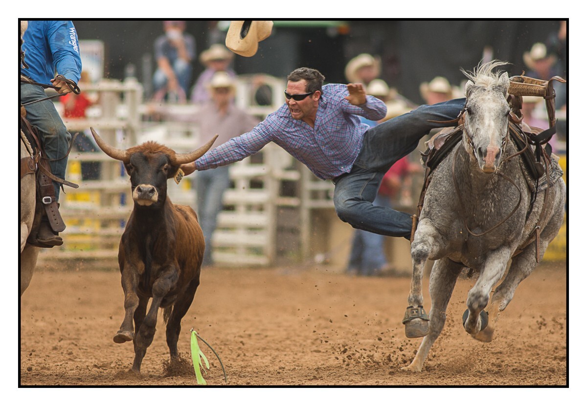 Steer Wrestling 3 - Rodeo