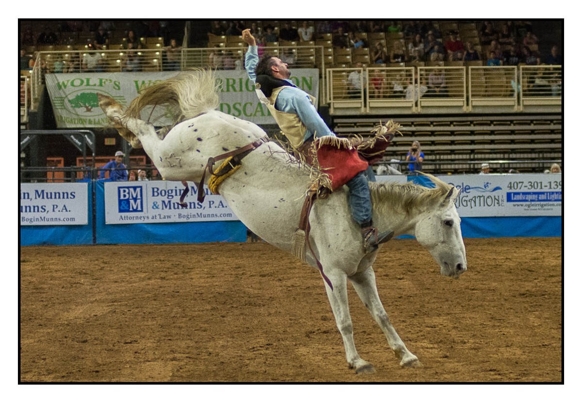 Bareback Bronc 1 - Rodeo