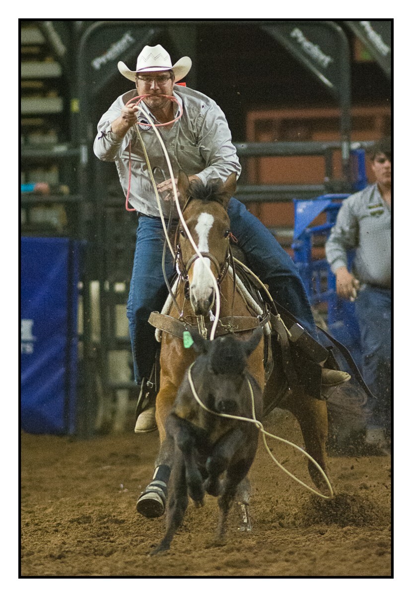 Calf Roping 2 - Rodeo