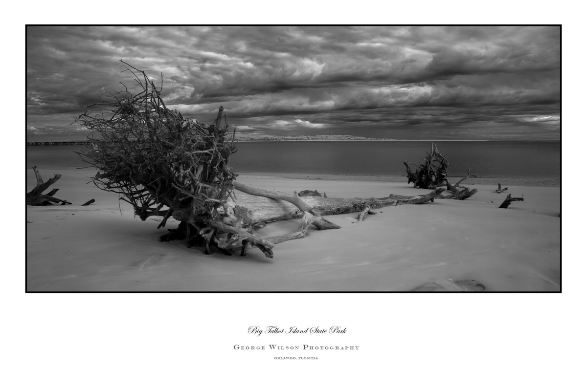 Big Talbot Island SP III - Florida State Parks
