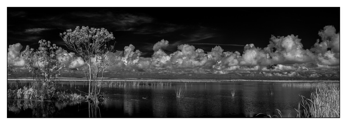 Lake Apopka II - Lake County - FLO - Pan (The Florida Panoramic Exhibit)