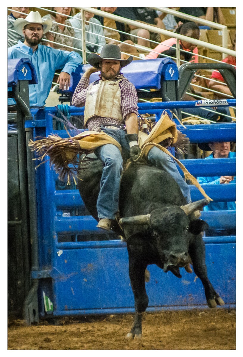 Rodeo Portfolio - Bull Riding 03 - Rodeo