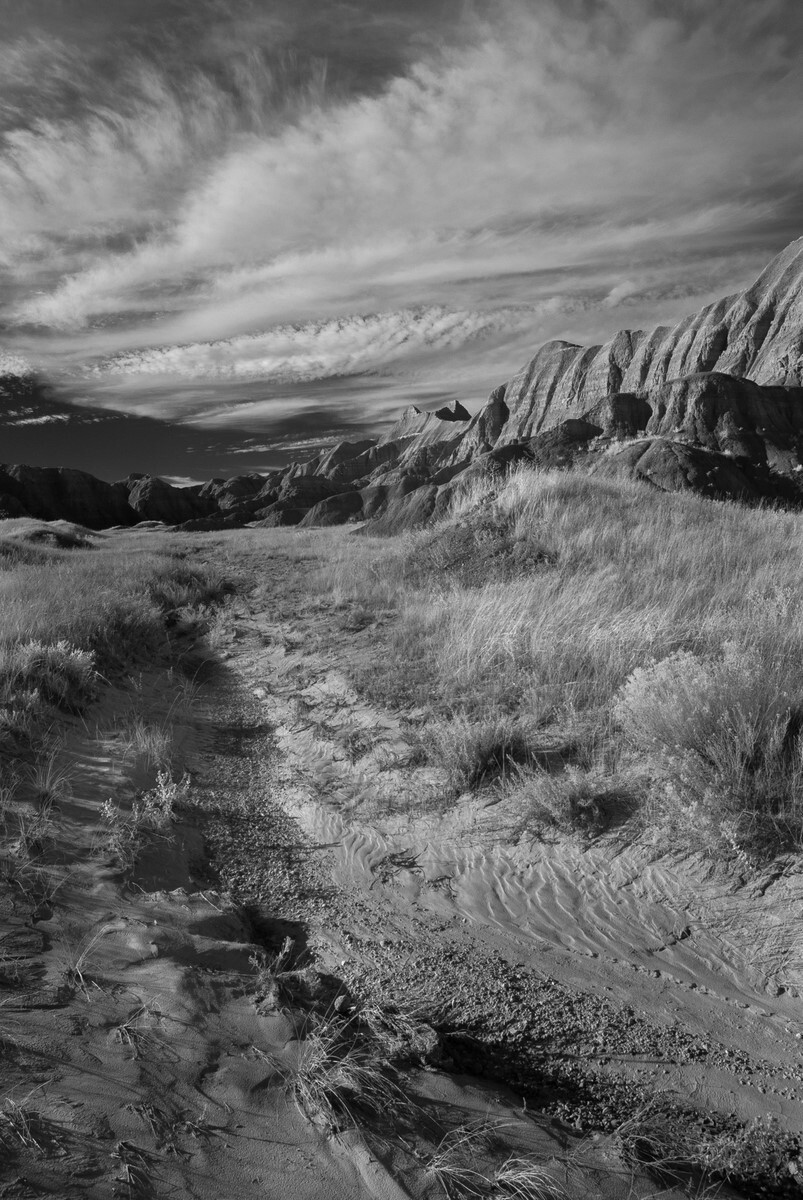 Deer Haven II - Badlands National Park