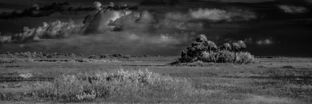 Hammock II - Fine Art Black & White Panoramic 3:1 Ratio
