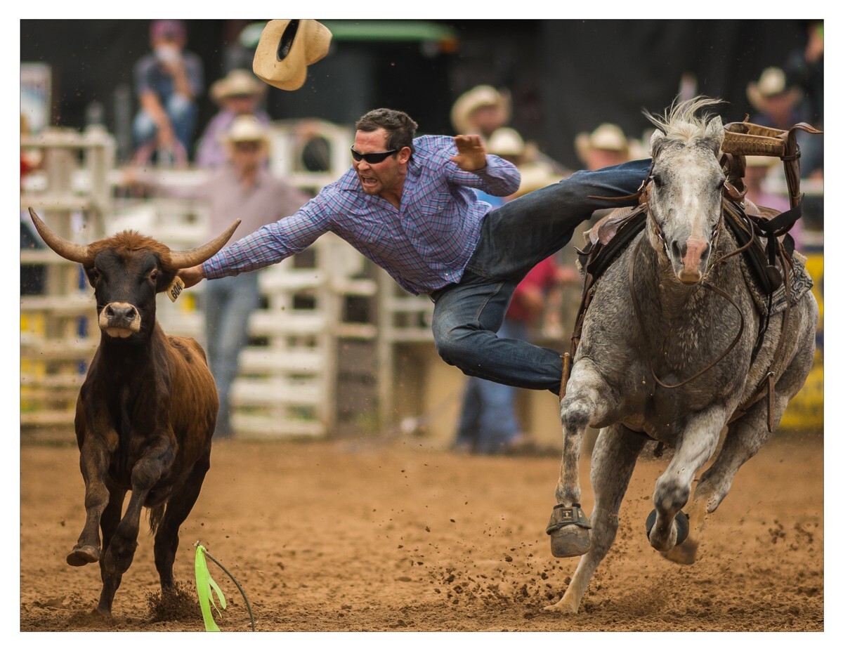 Rodeo Portfolio - Steer Wrestling 03 - Rodeo