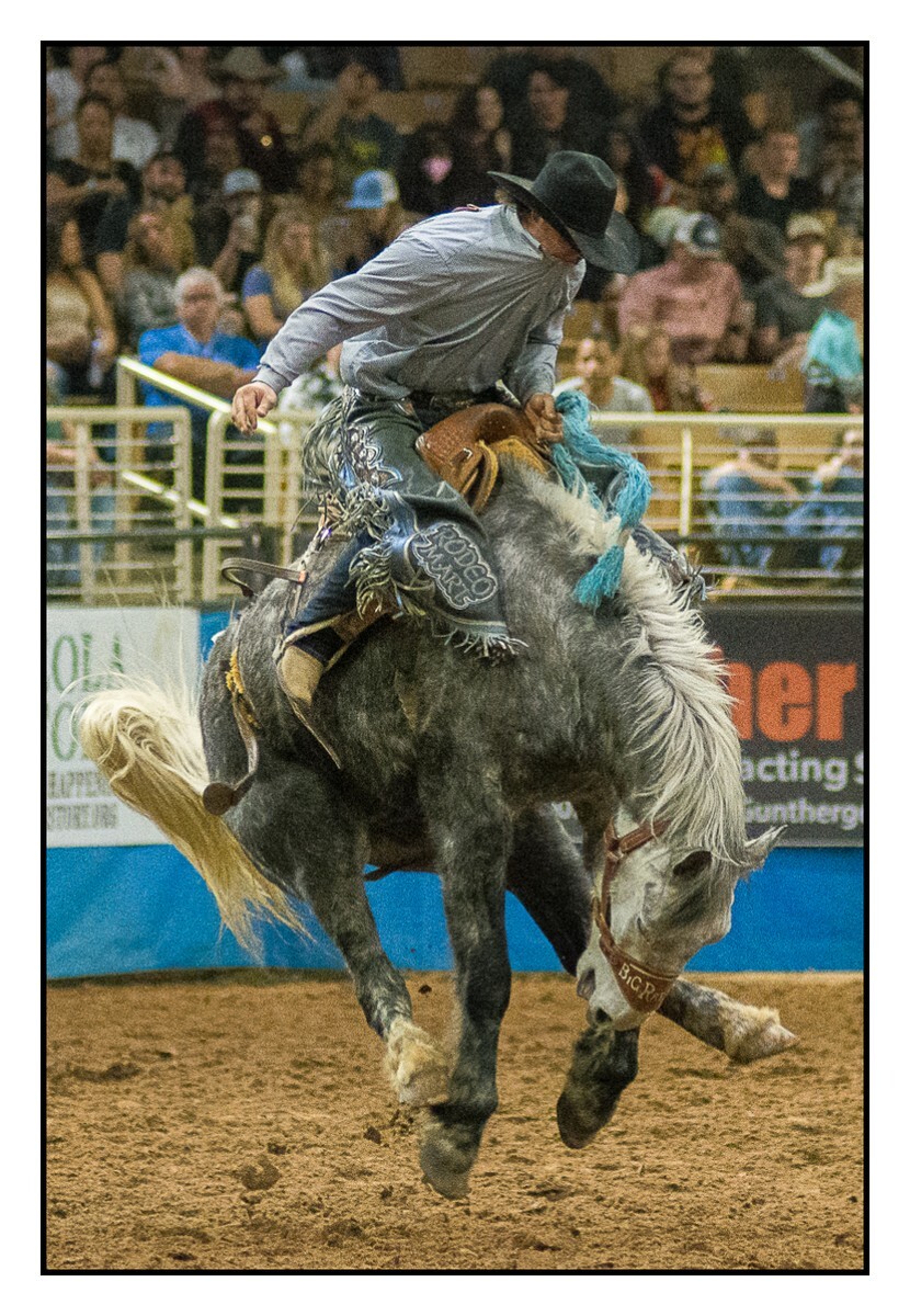 Saddle Bronc Diamond - Rodeo
