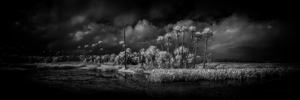 Edge of the Storm - Fine Art Black & White Panoramic 3:1 Ratio