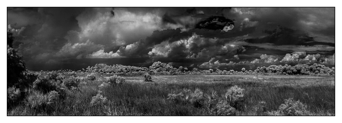Kissimmee Prairie Preserve SP - Okeechobee County - FLO - Pan (The Florida Panoramic Exhibit)
