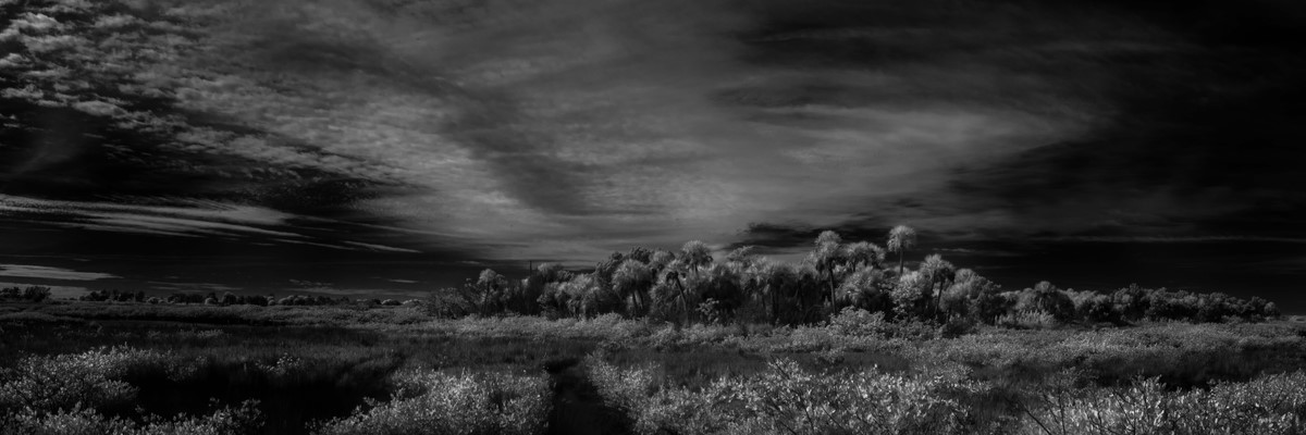 Hammock - Fine Art Black & White Panoramic 3:1 Ratio